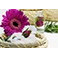 Aromathérapie