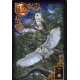 Oracle Lenormand des rêves enchantés